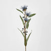Purple Flowering Eucalyptus - My Christmas