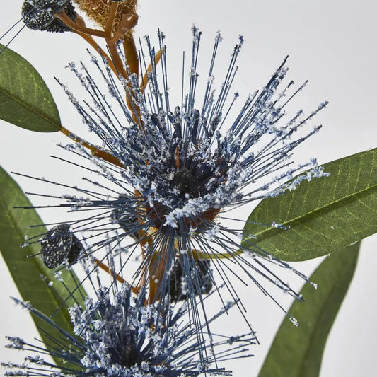 Purple Flowering Eucalyptus - My Christmas