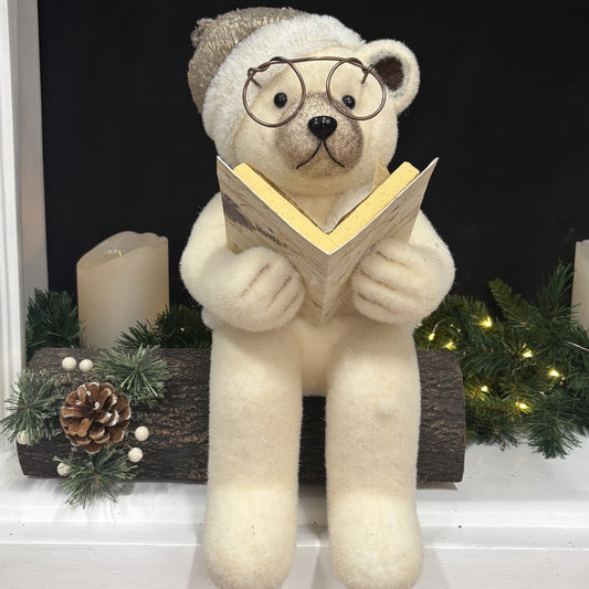 Reading Papa Teddy Bear - My Christmas