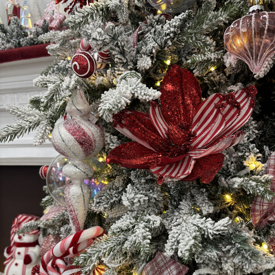 Red and White Magnolia Flower - My Christmas