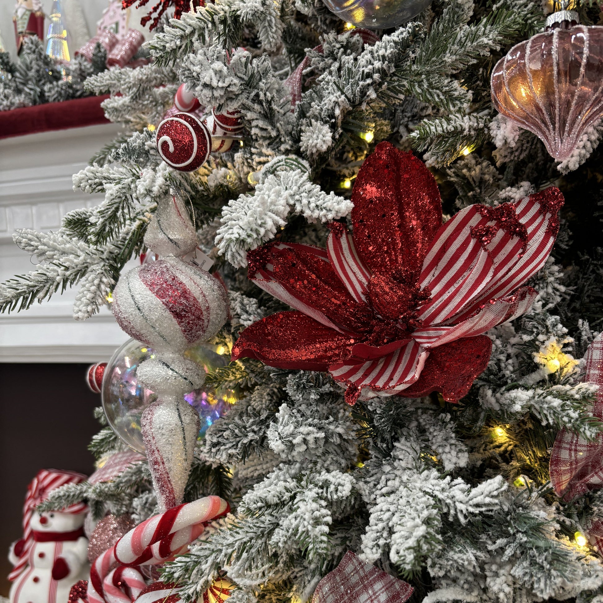 Red and White Magnolia Flower - My Christmas
