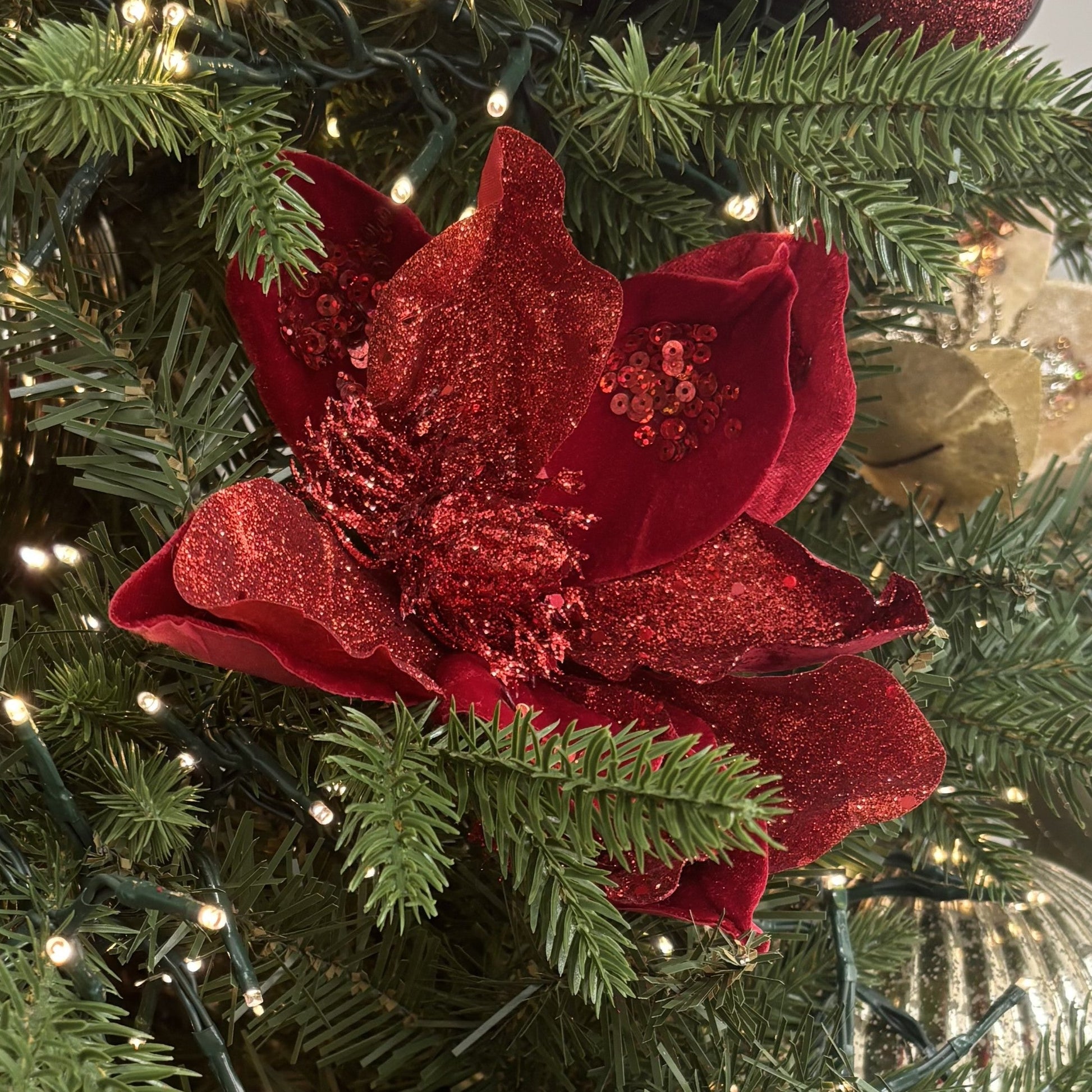 Red Deluxe Magnolia - My Christmas