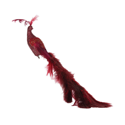 Red Peacock - My Christmas
