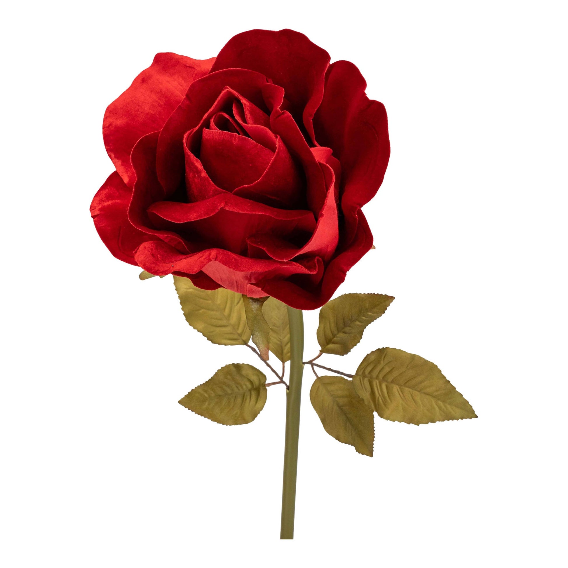 Red Rose Large Stem - My Christmas