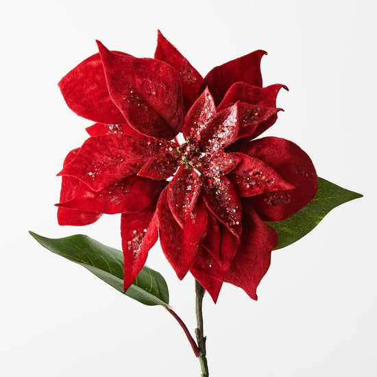 Red Velvet with Glitter Poinsettia - My Christmas