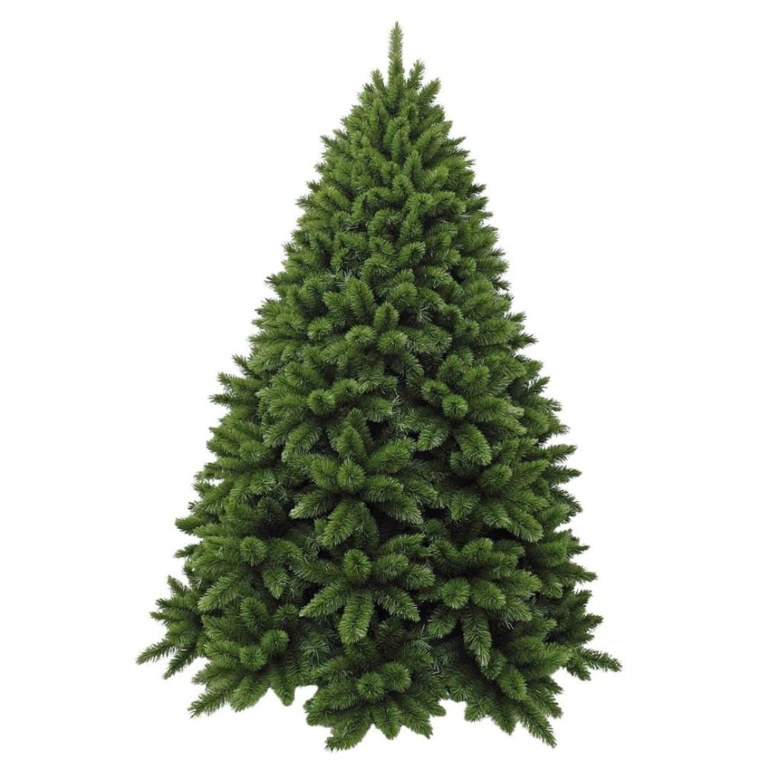 Regal Spruce Christmas Tree - My Christmas