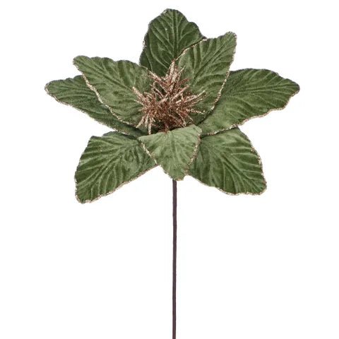 Sage Green Poinsettia - My Christmas