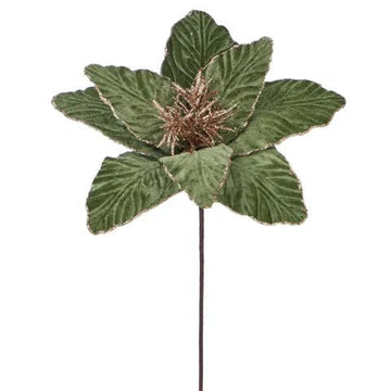 Sage Green Poinsettia - My Christmas