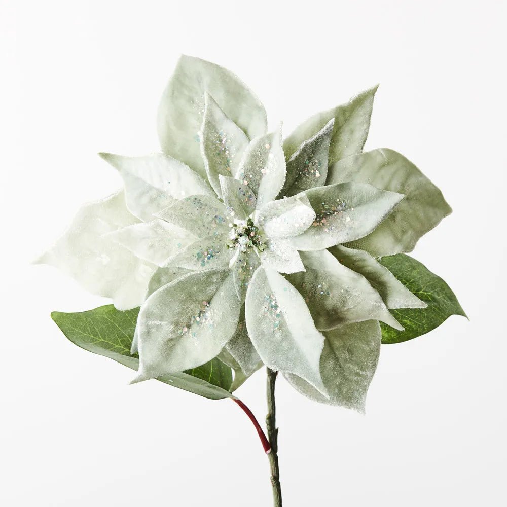 Sage Velvet with Glitter Poinsettia - My Christmas