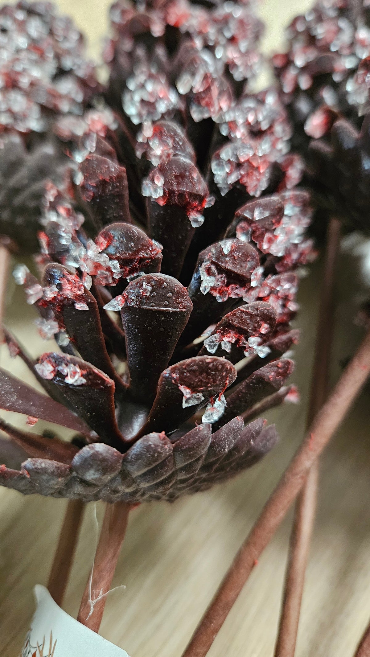 Single Pinecone Pick - Seconds - My Christmas