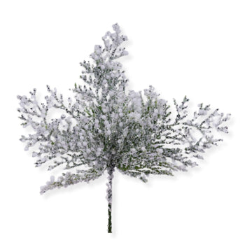 Snow Arborvitae Pick - My Christmas