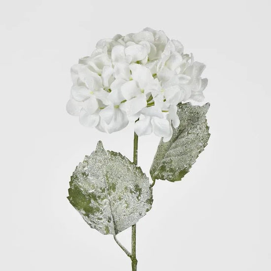 Snow Covered White Christmas Hydrangea - My Christmas