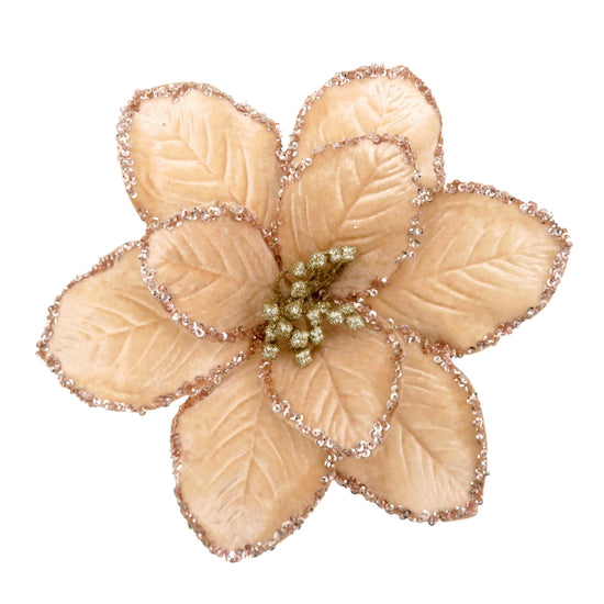 Tan with Gold Glitter Edge Clip-on Poinsettia - My Christmas