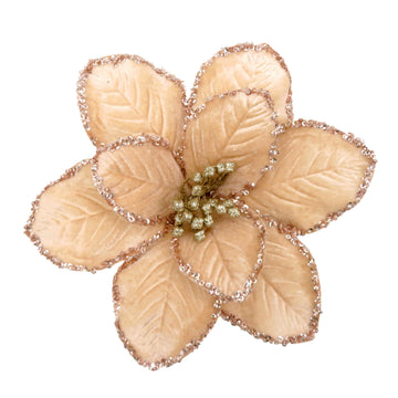 Tan with Gold Glitter Edge Clip-on Poinsettia - My Christmas