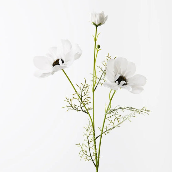 White Coreopsis Spray - My Christmas