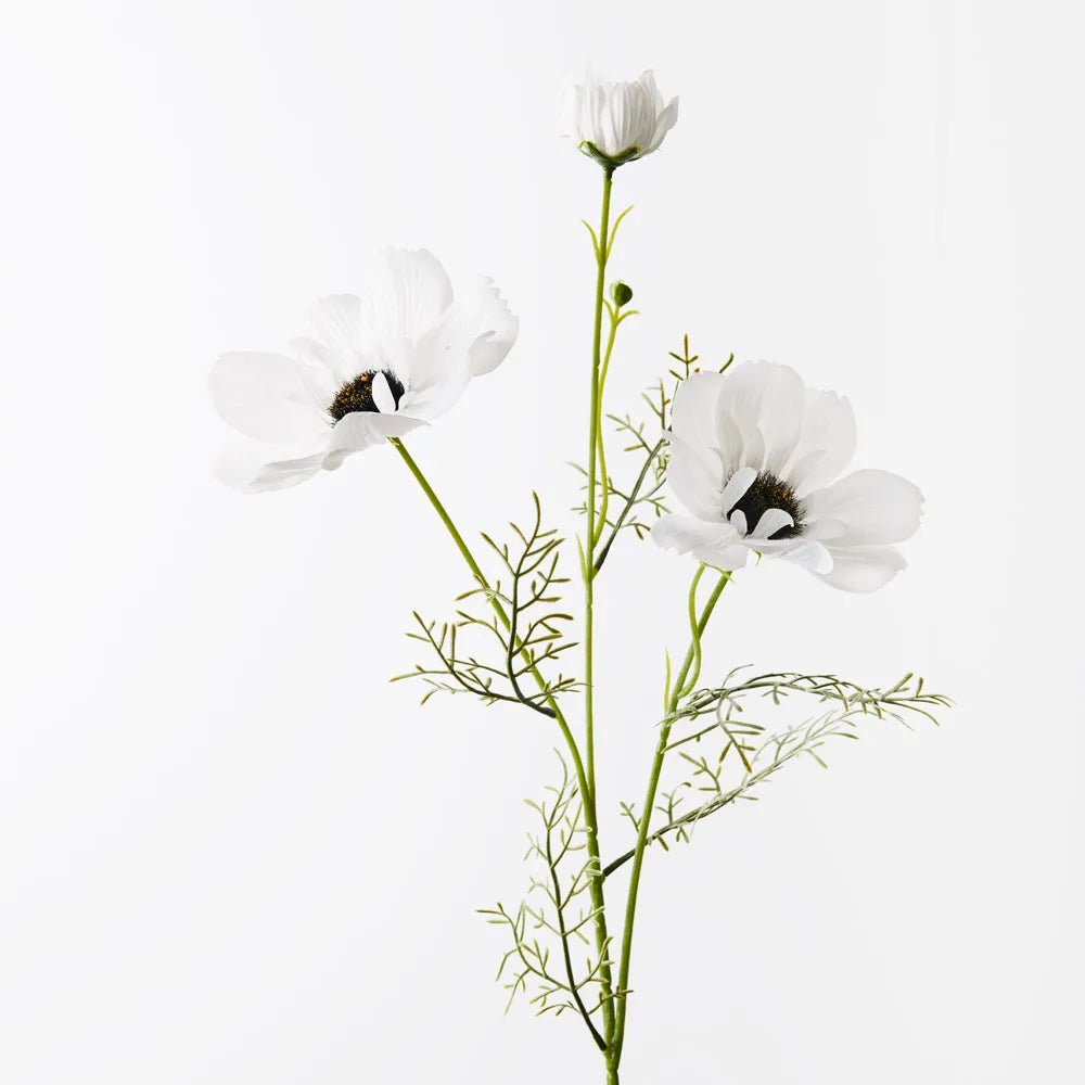 White Coreopsis Spray - My Christmas