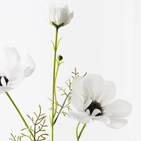 White Coreopsis Spray - My Christmas