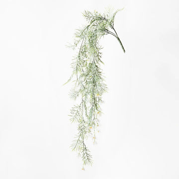 White Cosmos Hanging Bush - My Christmas