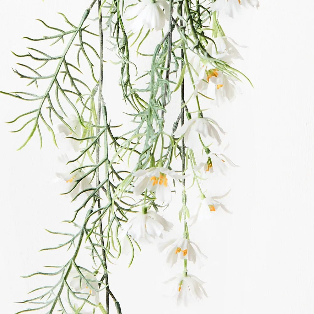 White Cosmos Hanging Bush - My Christmas