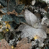 White Glitter Sequin Poinsettia - My Christmas