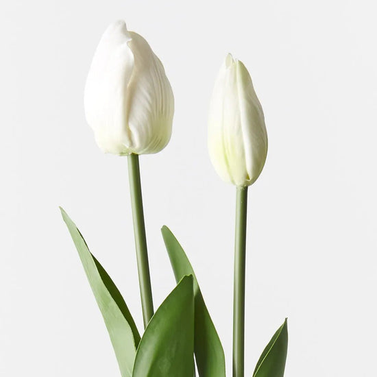 White Tulip Bud & Bloom - Set of 2 - My Christmas