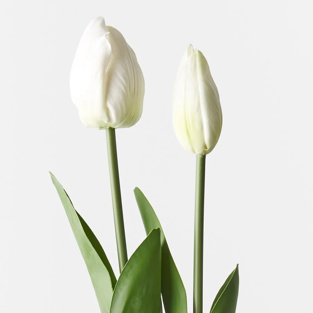 White Tulip Bud & Bloom - Set of 2 - My Christmas
