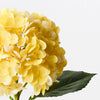 Yellow Hydrangea - My Christmas