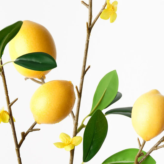 Yellow Lemon Spray - My Christmas