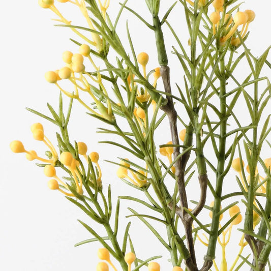 Yellow Wax Flower Bud Spray - My Christmas