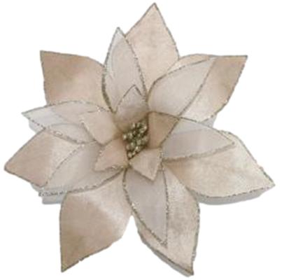 Champagne Poinsettia - My Christmas