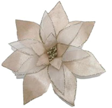 Champagne Poinsettia - My Christmas