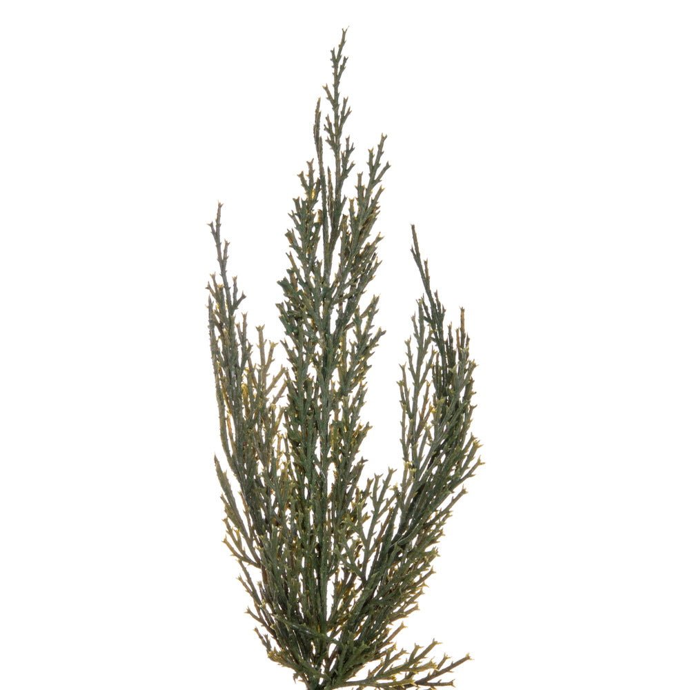 Green Cedar Garland - My Christmas