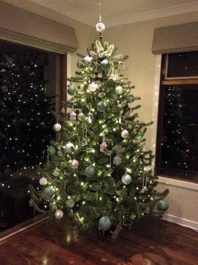 Melbourne Tree - My Christmas