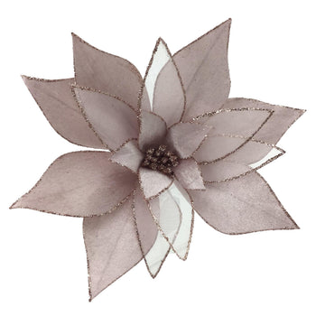 Pale Pink Poinsettia - My Christmas