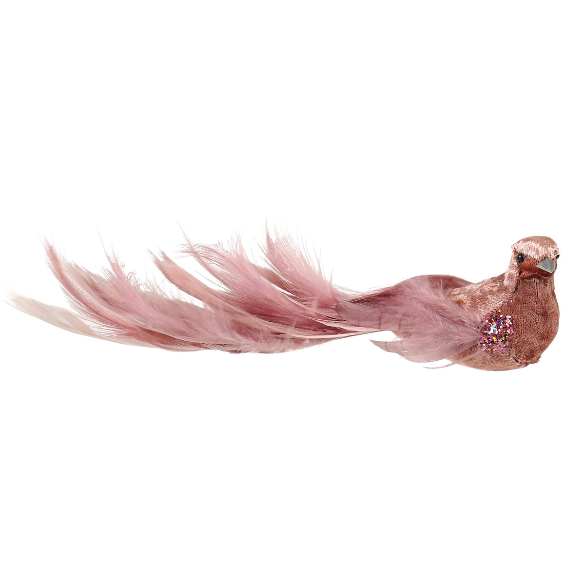 Pink Brush Tail Bird - My Christmas