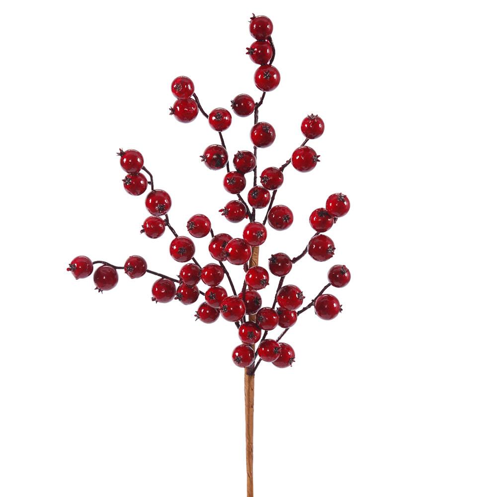 Red Gooseberry Pick - My Christmas