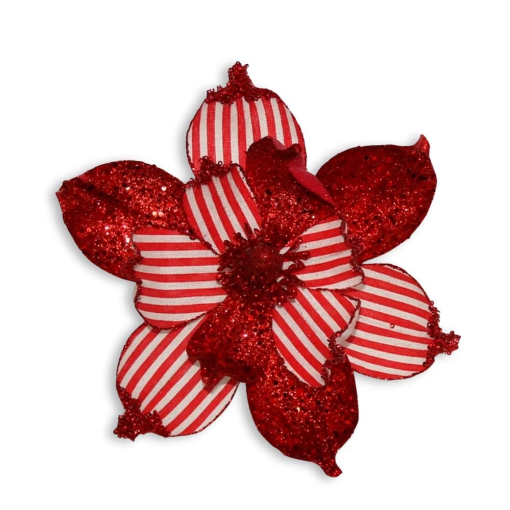 Red/White Magnolia Flower - My Christmas