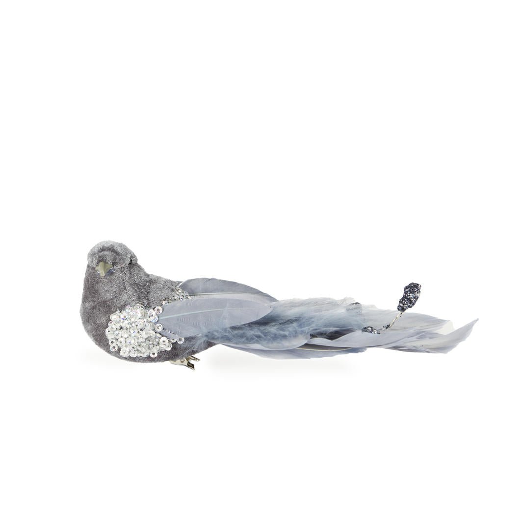 Snowy Blue Bird - My Christmas