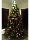 Vienna Spruce - My Christmas