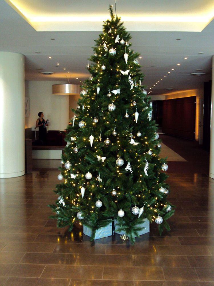 Vienna Spruce - My Christmas